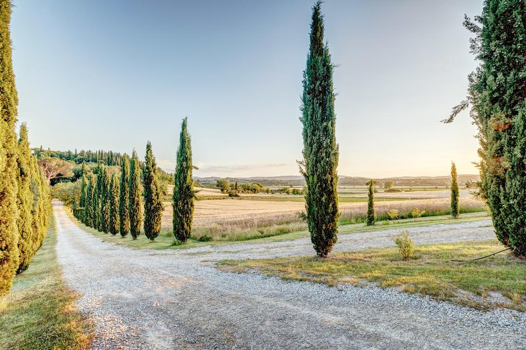 Agriturismo Il Poggiarello Foiano Della Chiana Zewnętrze zdjęcie